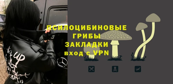 ECSTASY Алзамай